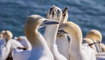 象山高价上海医保提取2025的最新政策(2025年象山上海医保怎么提取现金分享)