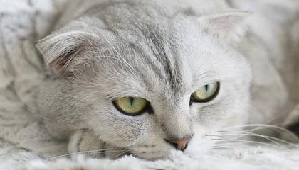 象山高价上海医保提取2025的最新政策(2025年象山上海医保怎么提取现金分享)