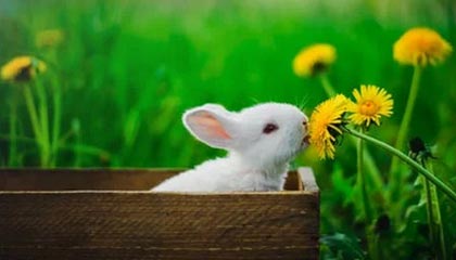 象山高价上海医保提取2025的最新政策(2025年象山上海医保怎么提取现金分享)